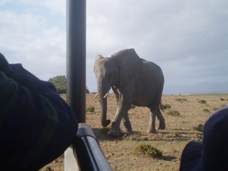 KeHa_in_South_Africa - 197